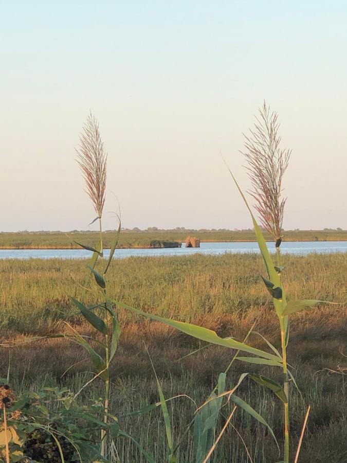 Mare&Terra... Alloggi Nel Delta Polesine Camerini Exterior foto